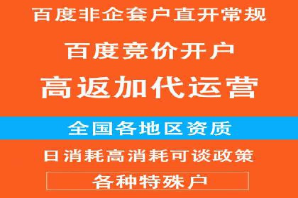 SEM推广代运营公司：行业领先的成功秘诀